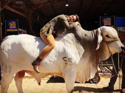 Esclarecimento: Camila Telles desmistifica consumo excessivo de 15 mil litros �gua para produ��o de carne