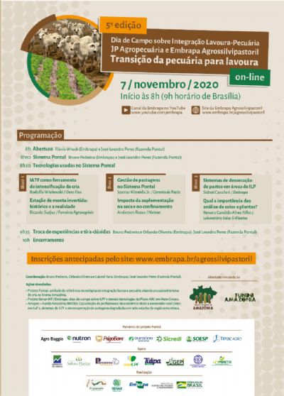 Dia de campo on-line vai mostrar transi��o da pecu�ria para a lavoura em sistema ILP