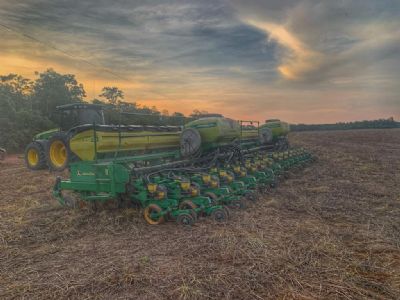 Soja: 1% da �rea total j� foi semeada em Mato Grosso