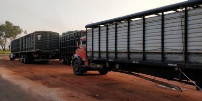 Mobiliza��o dos caminhoneiros complica o transporte de bovinos