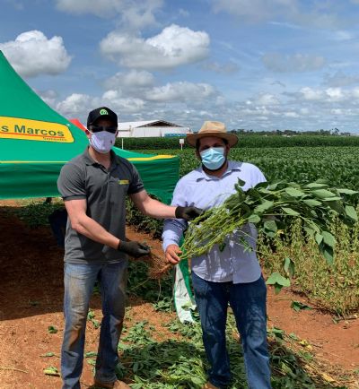 Materiais com alto teto produtivo ser�o destaque no Soja In T�cnica