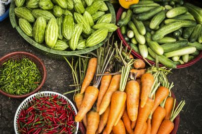 Bioinsumos avan�am no Brasil e movimentam mais de R$ 6 bilh�es