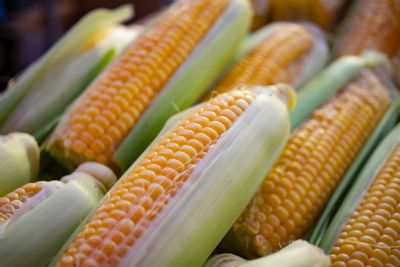 Milho avan�a na bolsa, mas mercado f�sico segue travado no Brasil