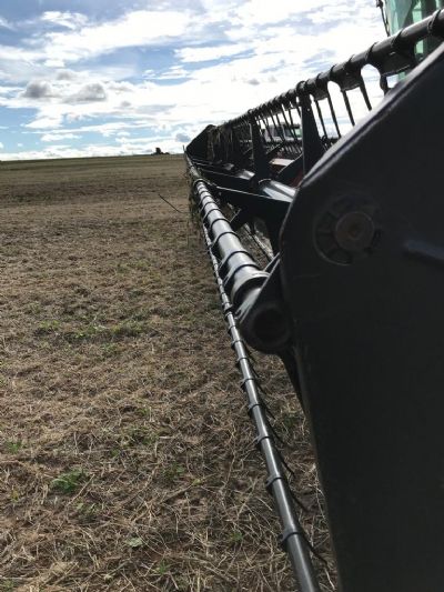 Produ��o de soja deve aumentar quase 66% at� 2030 em MT, diz Imea