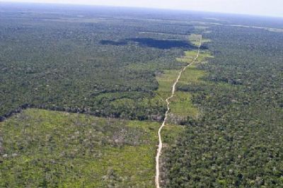 Desmatamento na Amaz�nia � conto do vig�rio em escala planet�ria