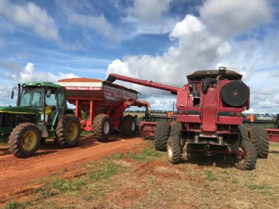 Colheita da soja ultrapassa 90% da �rea em Mato Grosso
