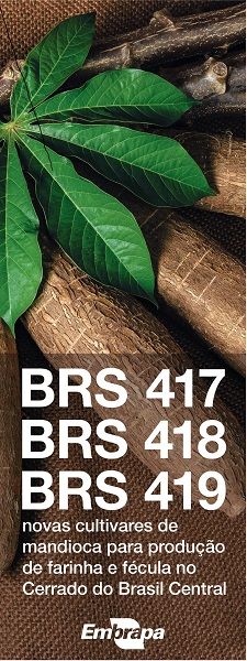 Embrapa oferta material propagativo de mandiocas de ind�stria para o Brasil Central