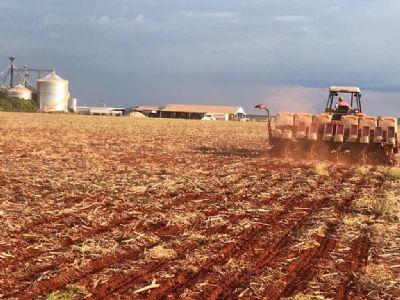 Aten��o produtor rural, previs�o do tempo para esta semana