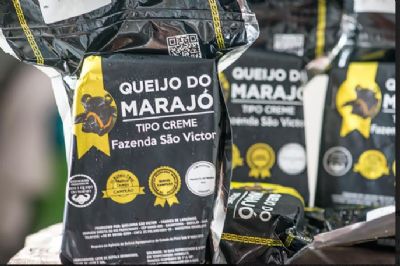 Produtores do queijo do Maraj� est�o com capacita��o para investirem mais em produtividade e expans�o