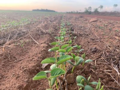 Chuvas para o m�s de novembro ser�o 42% menores dos �ltimos 5 anos