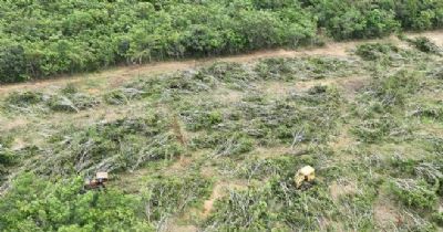 Com drones, Sema e PM flagram desmatamento ilegal no Vale do Araguaia