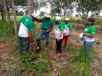 Atrav�s de treinamento, Senar-MT auxilia produtores na extra��o de l�tex de seringueiras