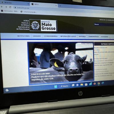 Sistema do Indea enfrenta instabilidade; MTI trabalha para normalizar