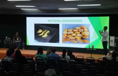 Agricultores familiares apresentam pequi sem espinho produzido em viveiro e queijos para intolerantes � lactose