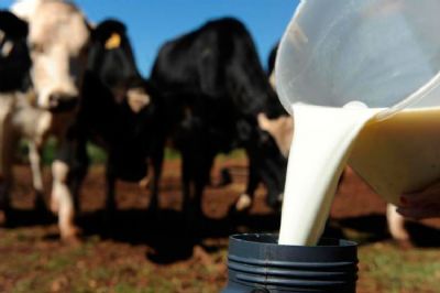 Minist�rio da Agricultura prepara portal com dados sobre qualidade do leite no pa�s
