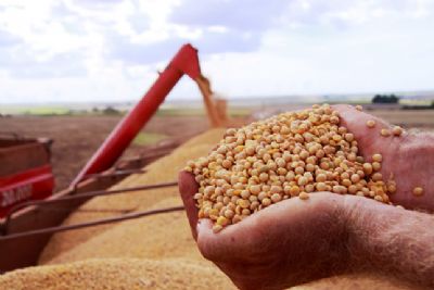 Pre�o da saca de soja come�a a reagir em Quer�ncia, apesar de colheita lenta