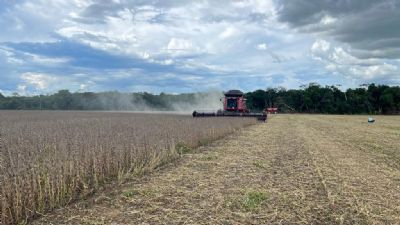 14 munic�pios produzem mais de 1 milh�o de toneladas de soja; veja ranking