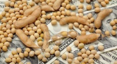 Soja tem novo dia de baixas nesta 3� feira em Chicago, ainda pressionada pelo Coronav�rus