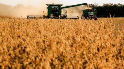 Agro: VBP de 2020 bate recorde e soma mais de R$ 72,5 bilh�es em Goi�s