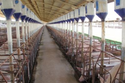 Acrismat realiza workshop para debater o contexto ambiental e res�duos agroindustriais