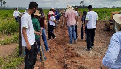 Pequena propriedade em Sorriso (MT) ser� modelo no uso de sistema silvipastoril