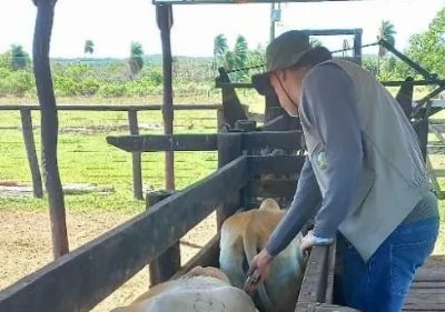Indea e parceiros promovem evento em �gua Boa para celebrar �ltima vacina��o em Mato Grosso