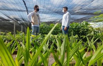 Vila Rica e Senar realizam parceria para recuperar APPs em propriedades rurais