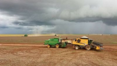 �reas de soja: confira a previs�o do tempo para esta segunda e ter�a-feira