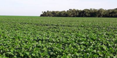 Aprosoja Brasil manifesta preocupa��o com uso e registro de biotecnologia no Pa�s