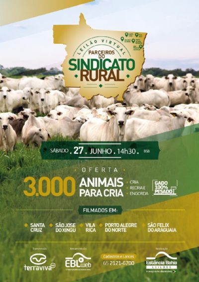 Sindicatos Rurais do Norte Araguaia realizar�o leil�o virtual no m�s de Junho