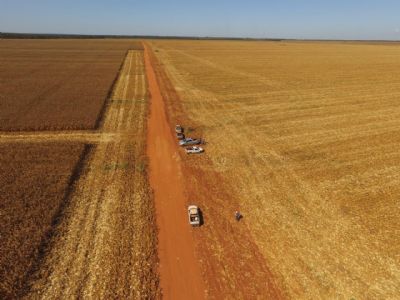 �rea plantada cresce 22% e aumenta demanda por qualifica��o em S�o F�lix do Araguaia