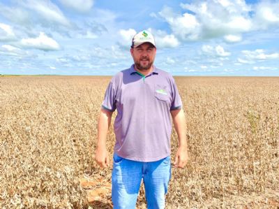 Produtor rural de Quer�ncia inicia colheita da soja com m�dia superior a 70 sc/h�