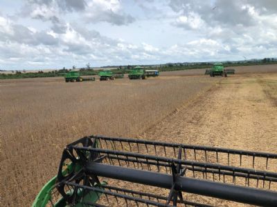 Colheita de soja chega a quase 3% em Mato Grosso