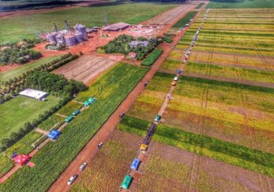 Acontece hoje o Dia de Campo da Fazenda Santa Rita