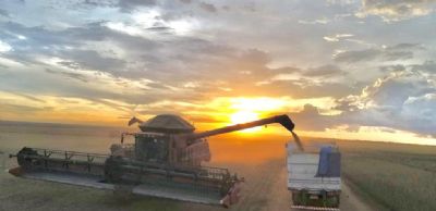 Colheita de soja ultrapassa 97% da �rea total em Mato Grosso e pre�o recua