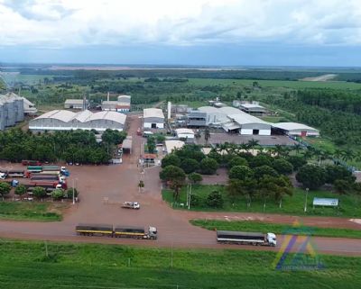 Projeto em Porto Alegre do Norte beneficiar� mais de 100 fam�lias da agricultura familiar; V�deo