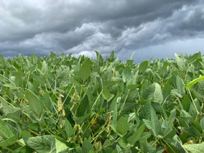 Chuvas escassas no brasil central