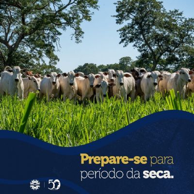 Acrimat alerta pecuaristas para o per�odo da seca