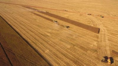 Agropecu�ria Locks inicia colheita de milho no Araguaia