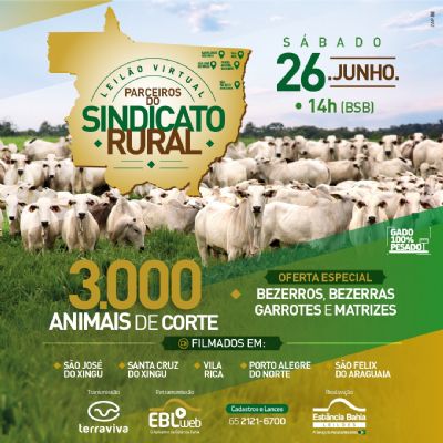 Parceiros do Sindicato Rural realizam leil�o neste s�bado