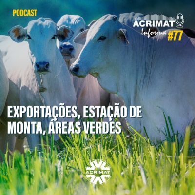 Exporta��es, Esta��o de Monta, �reas Verdes