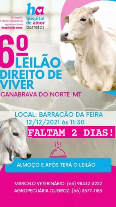 Acontece neste final de semana o 6� Leil�o Direito de Viver