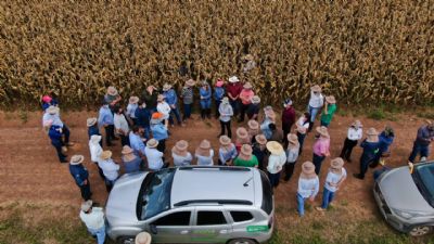 Aprosoja-MT proporciona visita t�cnica da cigarrinha-do-milho com MAPA, Embrapa e Indea-MT
