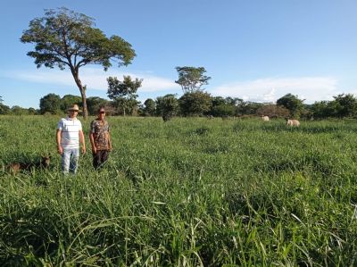 Assist�ncia t�cnica da Empaer ajuda produtores de leite a recuperar pasto e aumentar produ��o