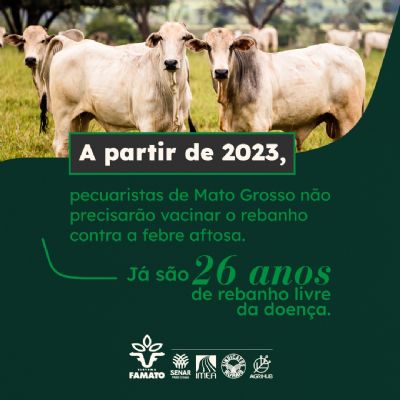 A partir de 2023, Mato Grosso n�o precisar� vacinar o rebanho contra a febre Aftosa