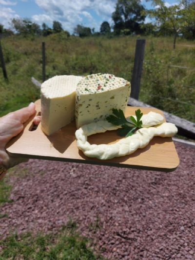 Confresa: Sindicato Rural lan�a curso de Produ��o e derivados do leite