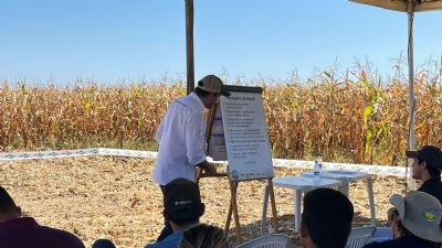 Primeiro Dia de Campo Embrapa conta com participa��o da Rede de Laborat�rios Solos e Plantas