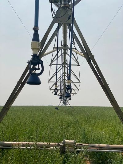 Canarana recebe Polo de Irriga��o para fomentar instala��o de piv�s em at� 1,6 milh�o de hectares no Araguaia