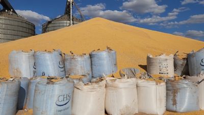 Mato Grosso tem capacidade de menos de 50 por cento para armazenar a produ��o agr�cola anual