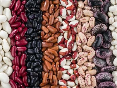 FAO v� queda na produ��o global de gr�os